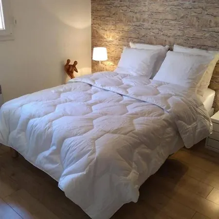 : T2 Avec Jardin, Parking Et Climatisation Blagnac